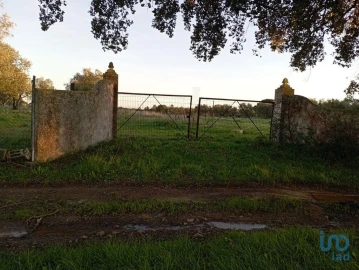 Terreno para Venda em Vale de Santarem