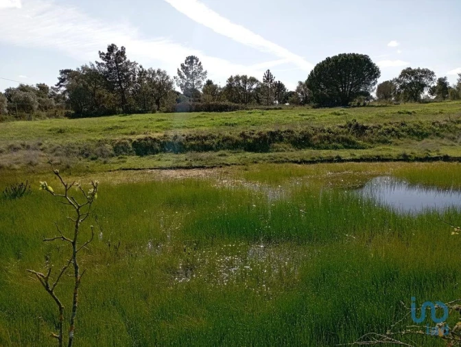 Terreno para Venda em Vale de Santarem Foto 7