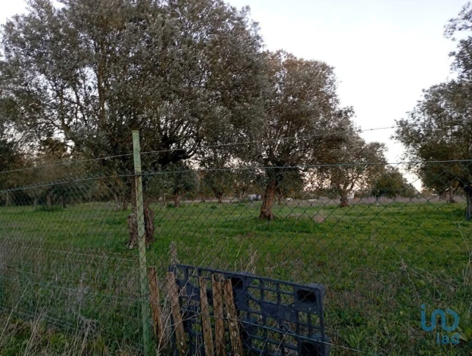 Terreno para Venda em Vale de Santarem Foto 10