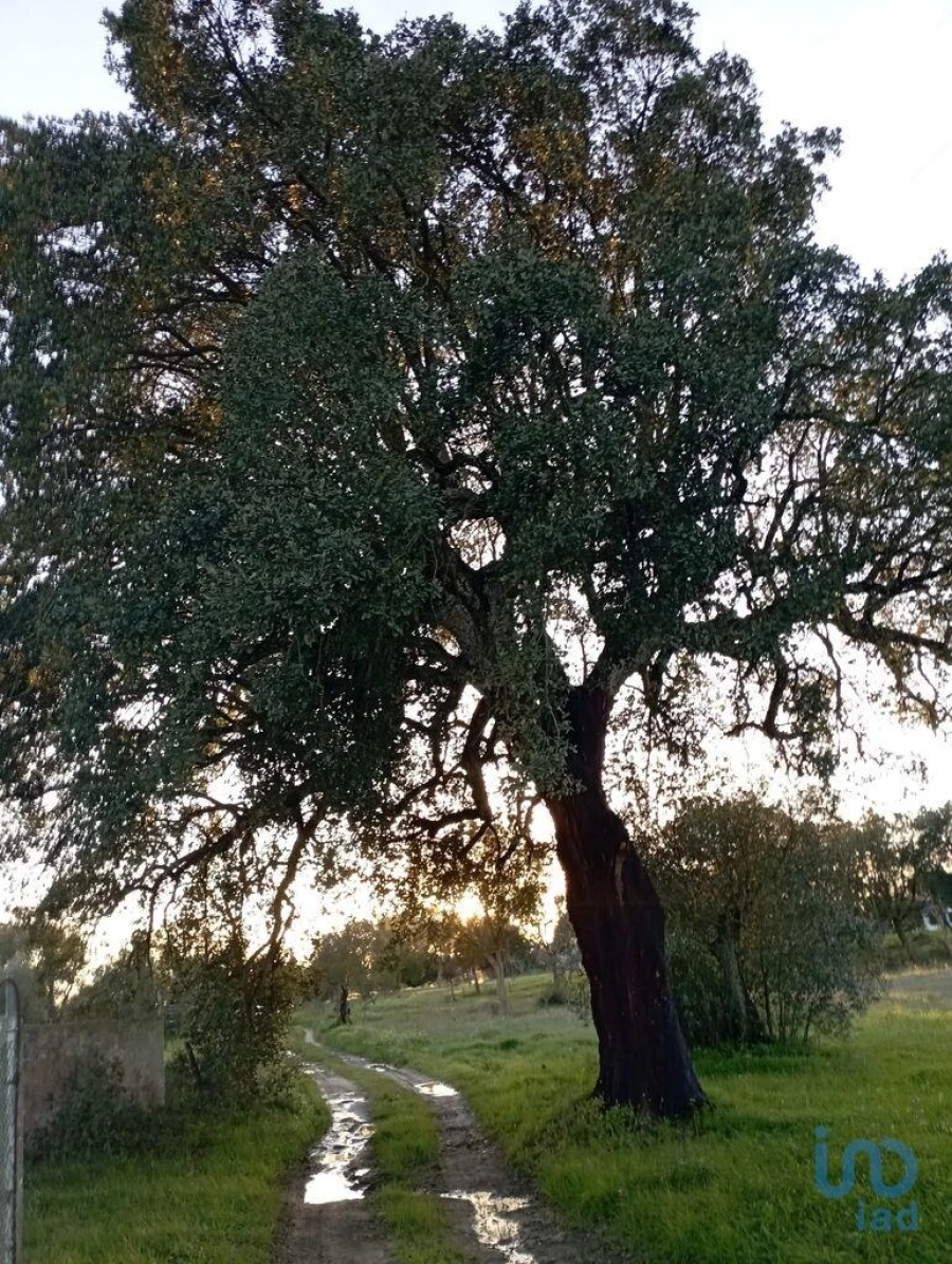 Terreno para Venda em Vale de Santarem Foto 9