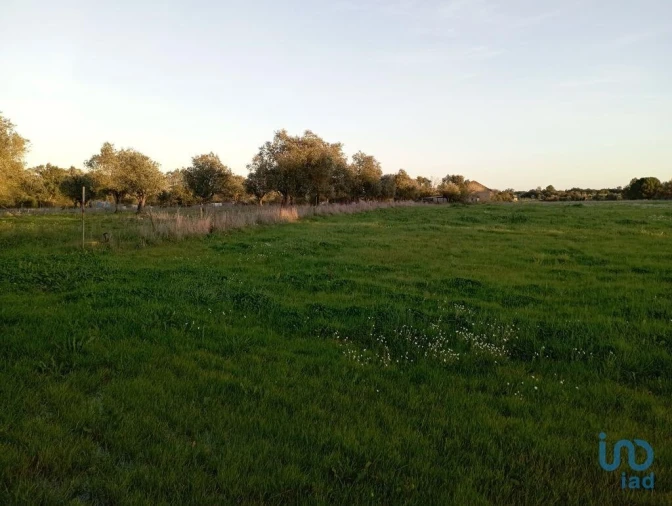 Terreno para Venda em Vale de Santarem Foto 3