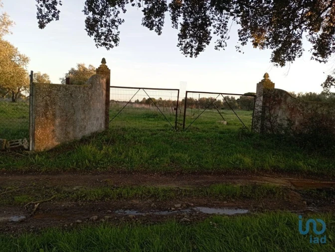 Terreno para Venda em Vale de Santarem Foto 6