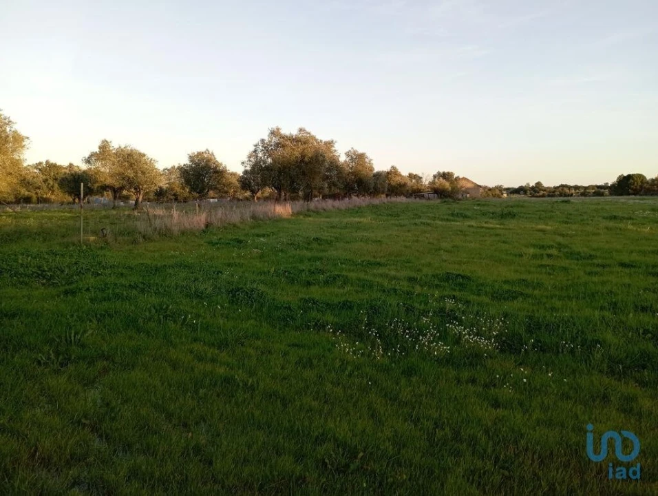 Terreno para Venda em Vale de Santarem Foto 3