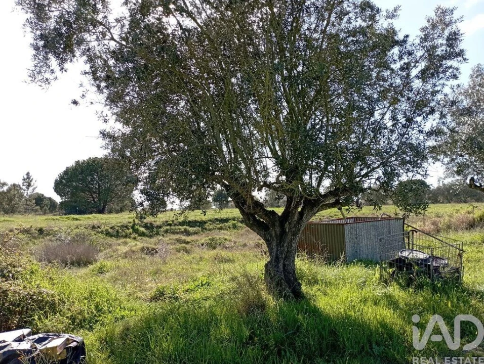 Terreno para Venda em Vale de Santarem Foto 23