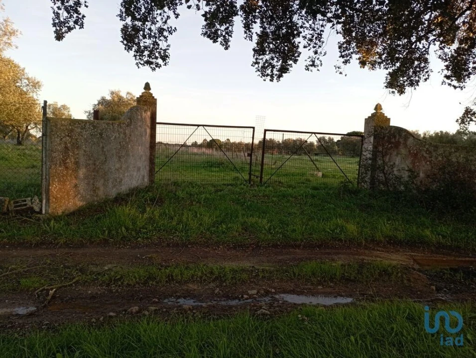 Terreno para Venda em Vale de Santarem Foto 6