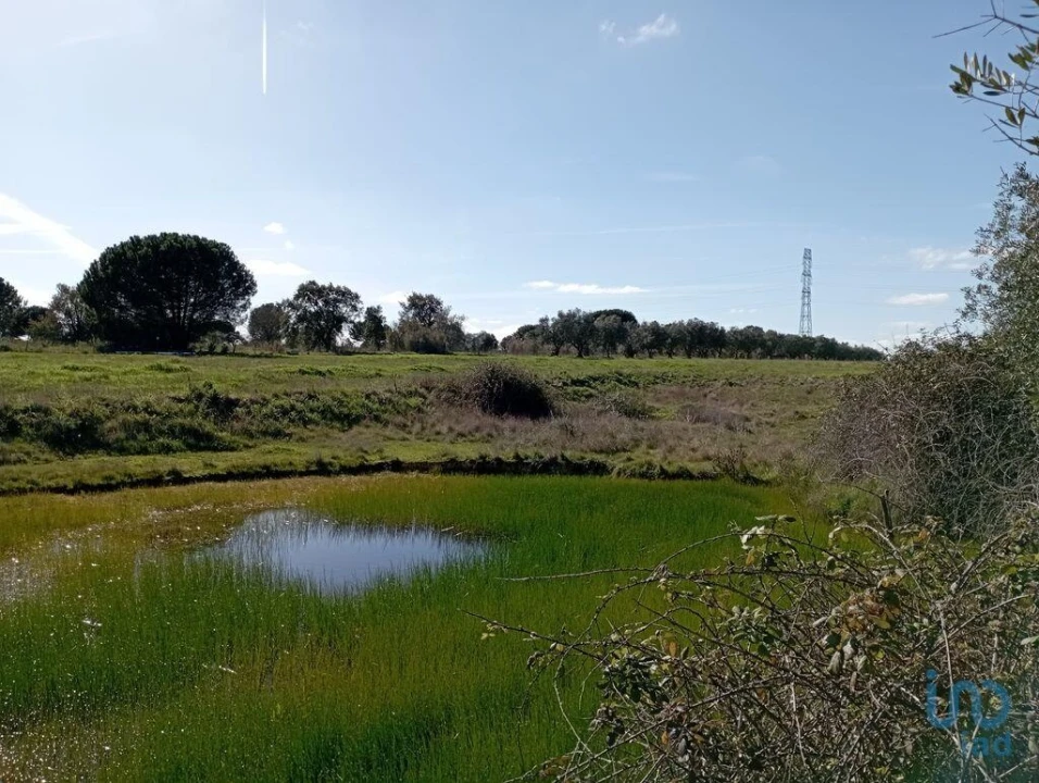 Terreno para Venda em Vale de Santarem Foto 1