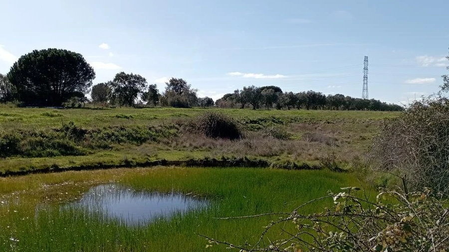 Terreno para Venda em Vale de Santarem