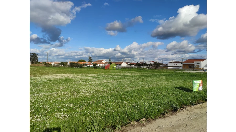 Terreno para Venda em Foros de Vale de Figueira Foto 5