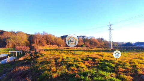 Terreno para Venda em São João de Lourosa
