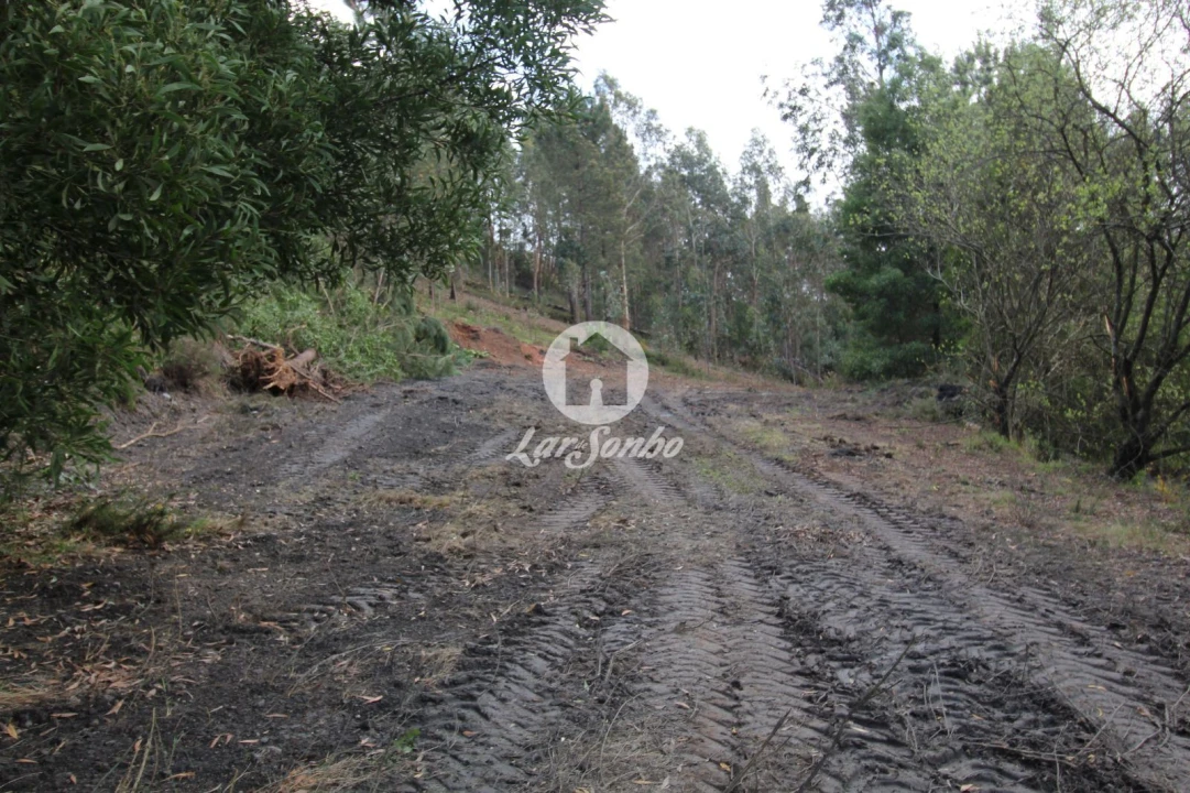 Terreno Agricola ou Rústico para Venda em Vilarinho das Cambas Foto 2