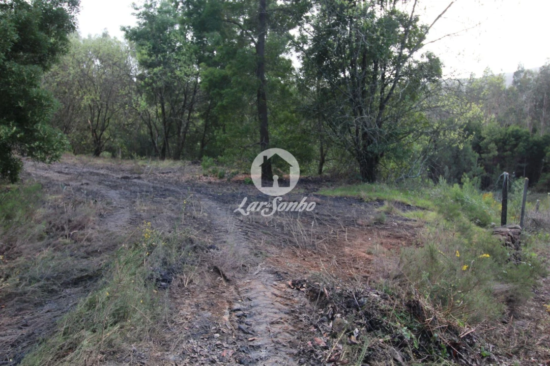 Terreno Agricola ou Rústico para Venda em Vilarinho das Cambas Foto 3