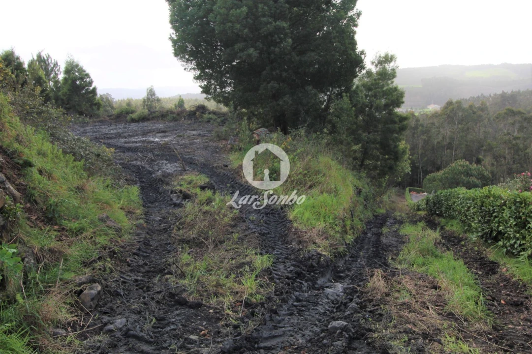 Terreno Agricola ou Rústico para Venda em Vilarinho das Cambas Foto 4