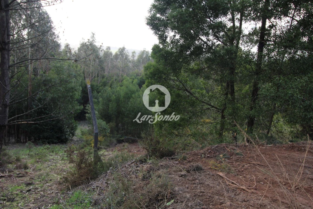 Terreno Agricola ou Rústico para Venda em Vilarinho das Cambas Foto 5
