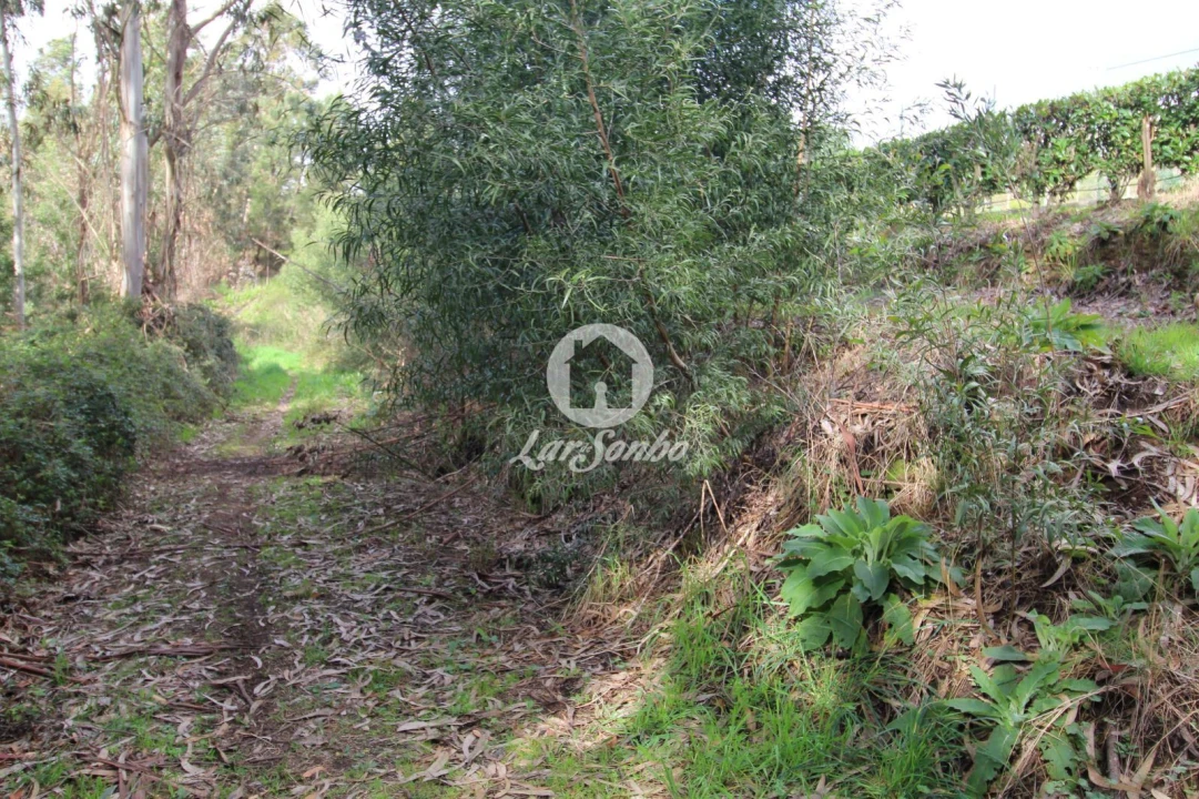 Terreno Agricola ou Rústico para Venda em Vilarinho das Cambas Foto 7