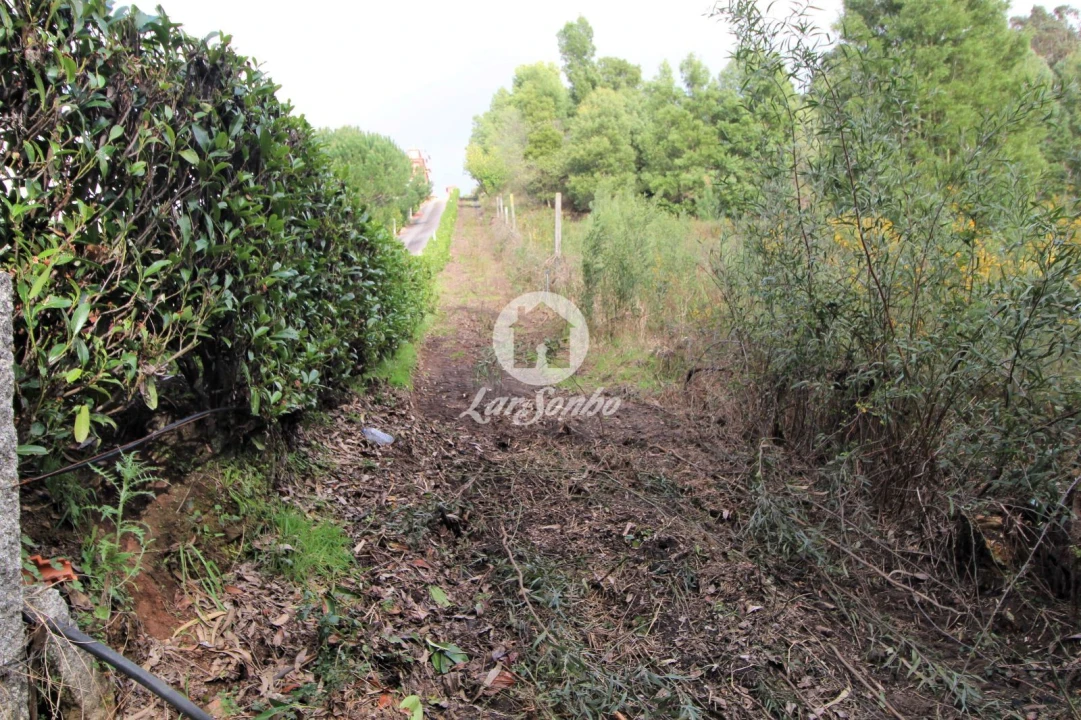 Terreno Agricola ou Rústico para Venda em Vilarinho das Cambas Foto 8