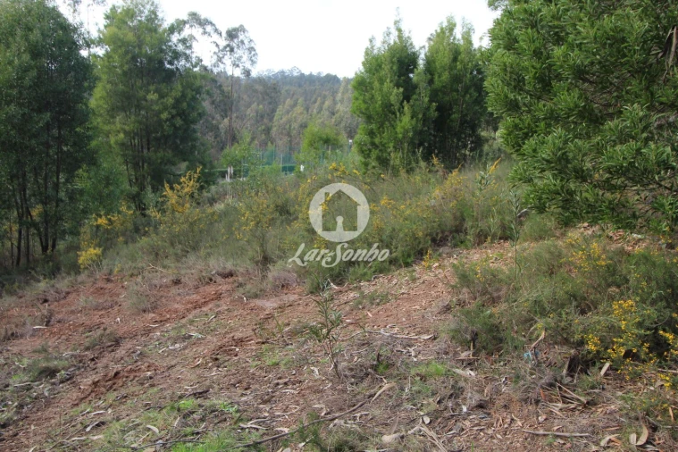 Terreno Agricola ou Rústico para Venda em Vilarinho das Cambas Foto 6