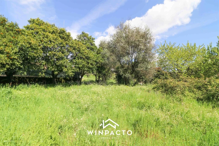 Moradia T0 para Venda em Nelas Foto 3