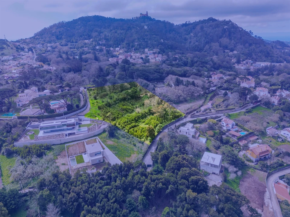 Terreno para Venda em Santa Maria e São Miguel, São Martinho, São Pedro Penaferrim Foto 13