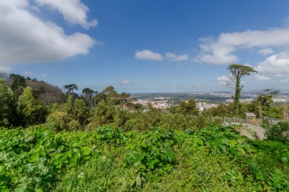 Terreno para Venda em Santa Maria e São Miguel, São Martinho, São Pedro Penaferrim