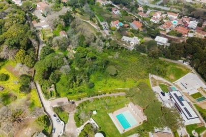 Terreno para Venda em Santa Maria e São Miguel, São Martinho, São Pedro Penaferrim