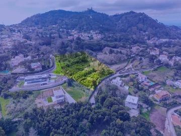 Terreno para Venda em Santa Maria e São Miguel, São Martinho, São Pedro Penaferrim