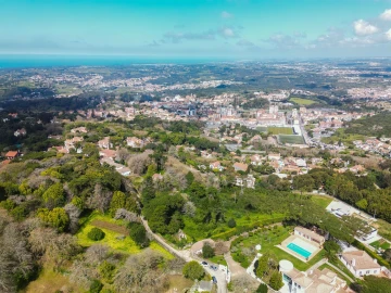 Terreno para Venda em Santa Maria e São Miguel, São Martinho, São Pedro Penaferrim