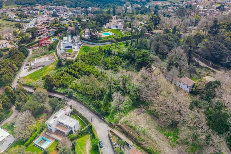 Terreno para Venda em Santa Maria e São Miguel, São Martinho, São Pedro Penaferrim Foto 27