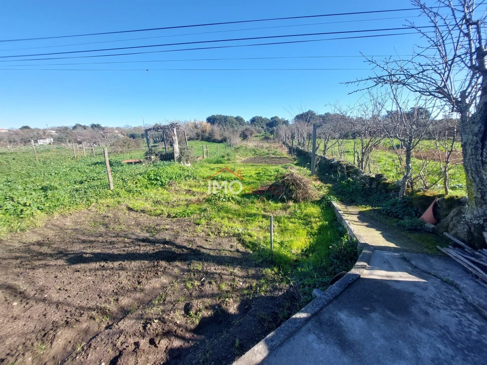 Terreno Agricola ou Rústico para Venda em Nossa Senhora da Graça de Povoa e Meadas Foto 12