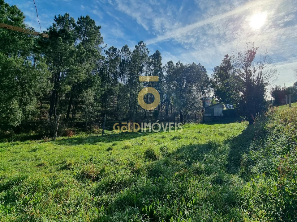 Moradia T5 para Venda em Milheiros de Poiares Foto 17