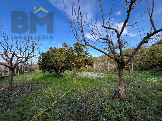 Moradia T0 para Venda em Salgueiro do Campo Foto 24