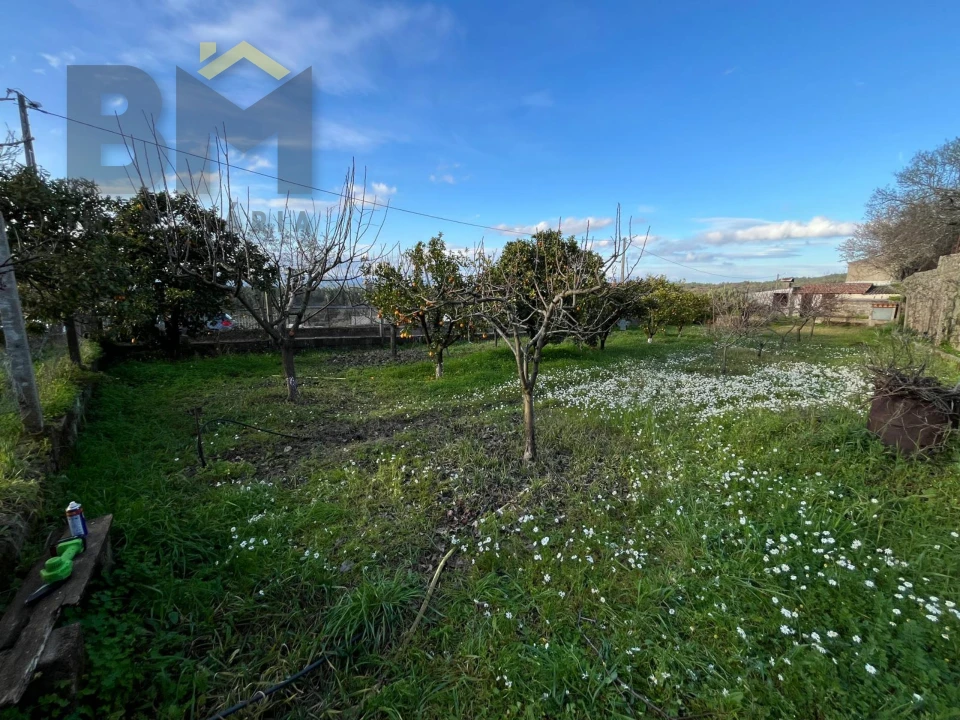 Moradia T0 para Venda em Salgueiro do Campo Foto 23