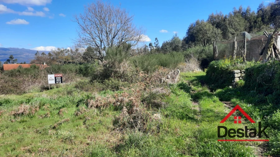 Terreno Agricola ou Rústico para Venda em Oliveira de Frades, Souto de Lafões e Sejães Foto 6