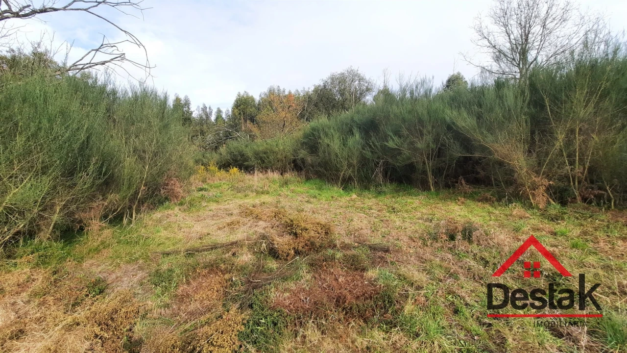 Terreno Agricola ou Rústico para Venda em Oliveira de Frades, Souto de Lafões e Sejães Foto 8