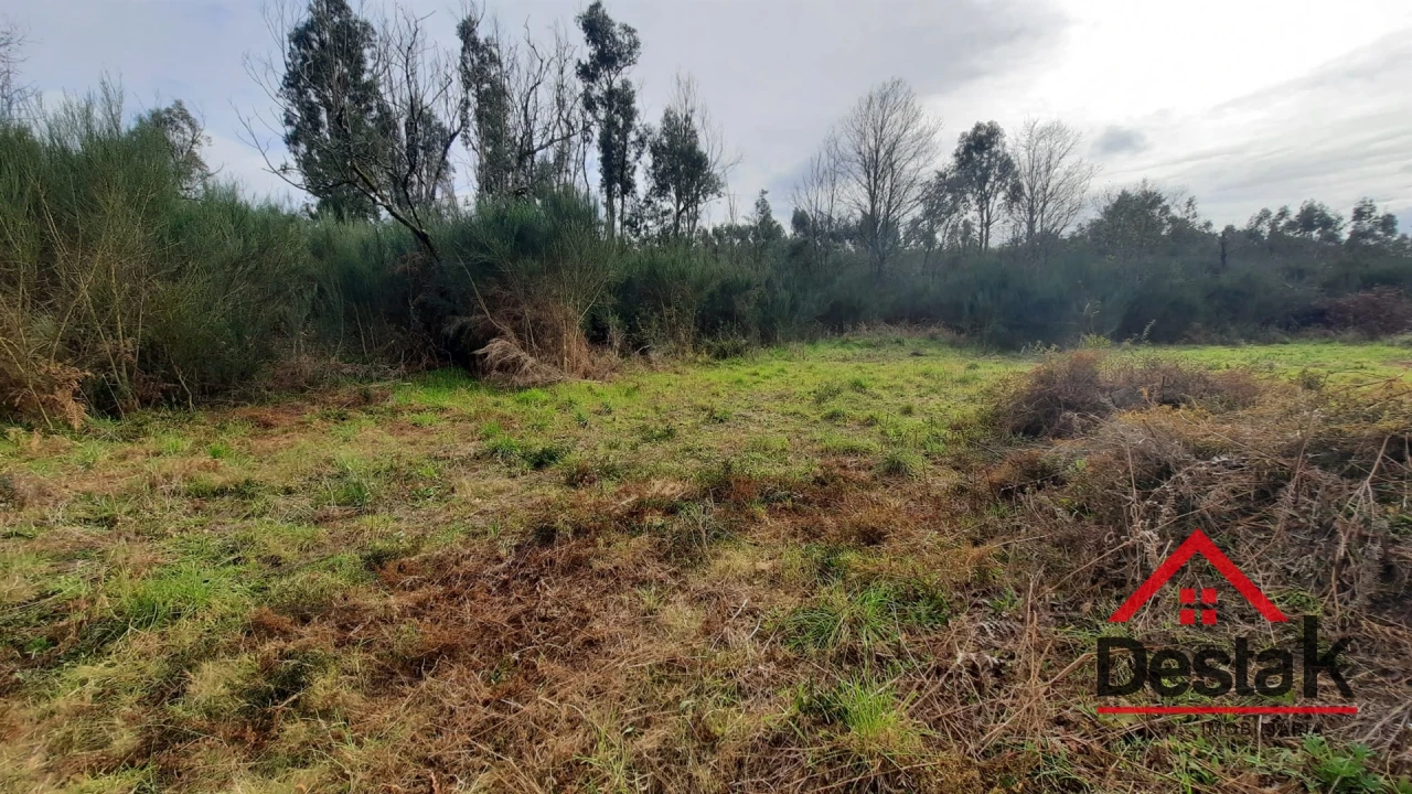 Terreno Agricola ou Rústico para Venda em Oliveira de Frades, Souto de Lafões e Sejães Foto 9