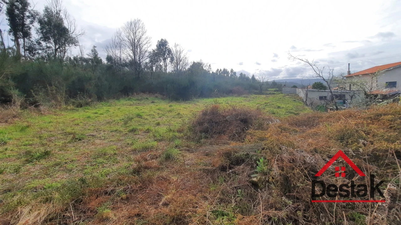 Terreno Agricola ou Rústico para Venda em Oliveira de Frades, Souto de Lafões e Sejães Foto 6