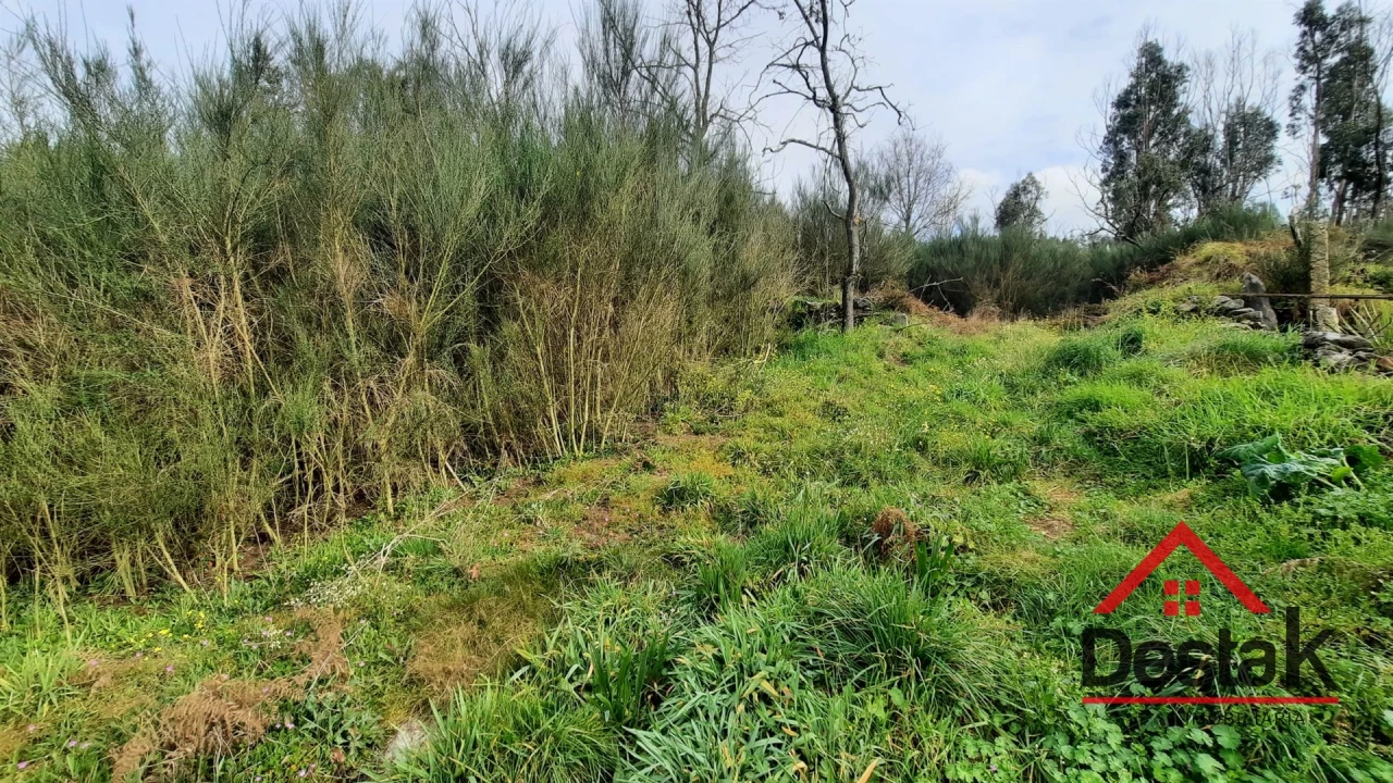 Terreno Agricola ou Rústico para Venda em Oliveira de Frades, Souto de Lafões e Sejães Foto 7