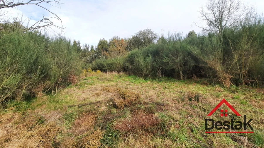 Terreno Agricola ou Rústico para Venda em Oliveira de Frades, Souto de Lafões e Sejães Foto 8