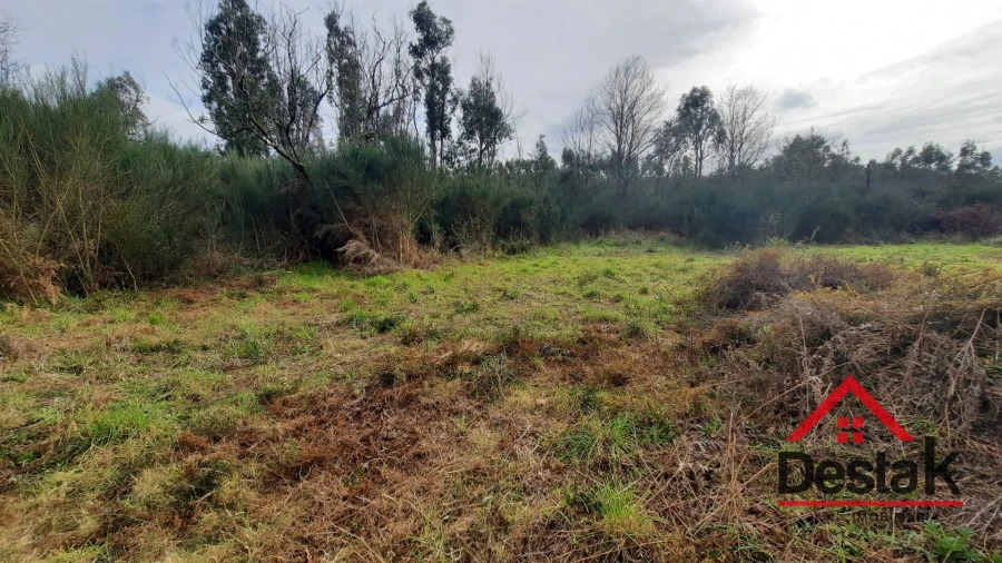 Terreno Agricola ou Rústico para Venda em Oliveira de Frades, Souto de Lafões e Sejães Foto 9