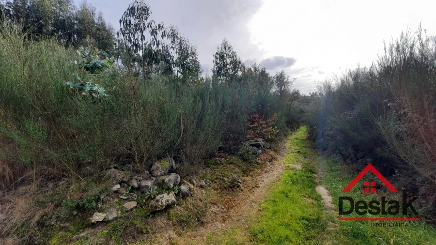 Terreno Agricola ou Rústico para Venda em Oliveira de Frades, Souto de Lafões e Sejães Foto 3