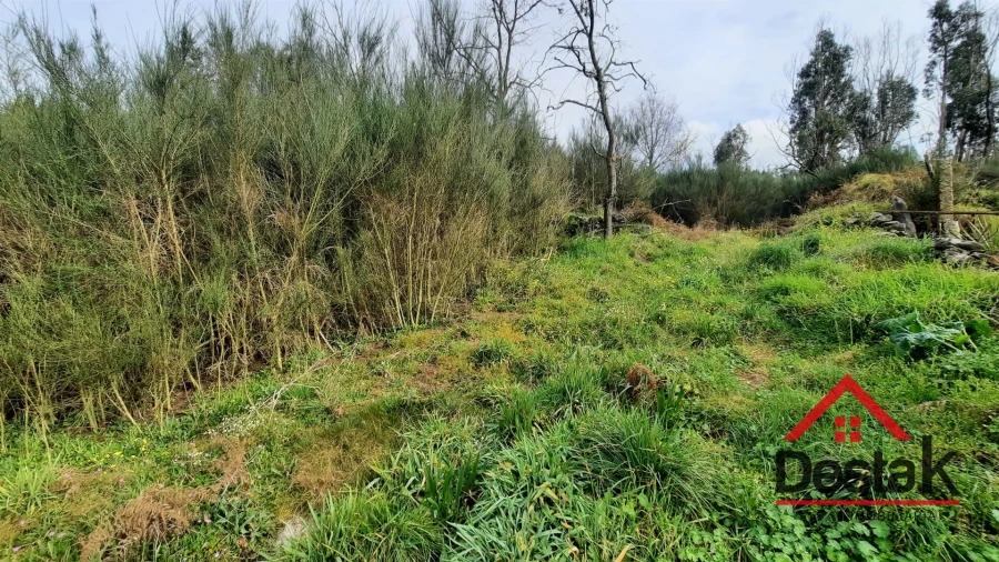 Terreno Agricola ou Rústico para Venda em Oliveira de Frades, Souto de Lafões e Sejães Foto 7