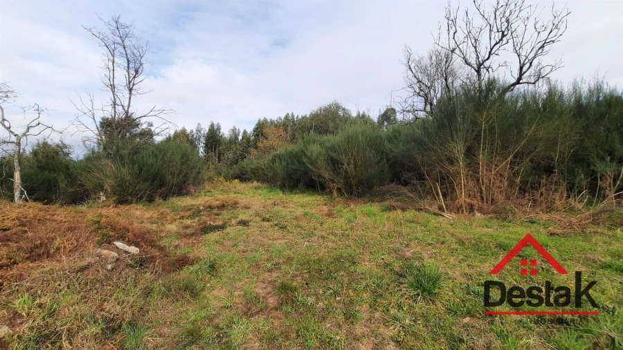 Terreno Agricola ou Rústico para Venda em Oliveira de Frades, Souto de Lafões e Sejães Foto 5