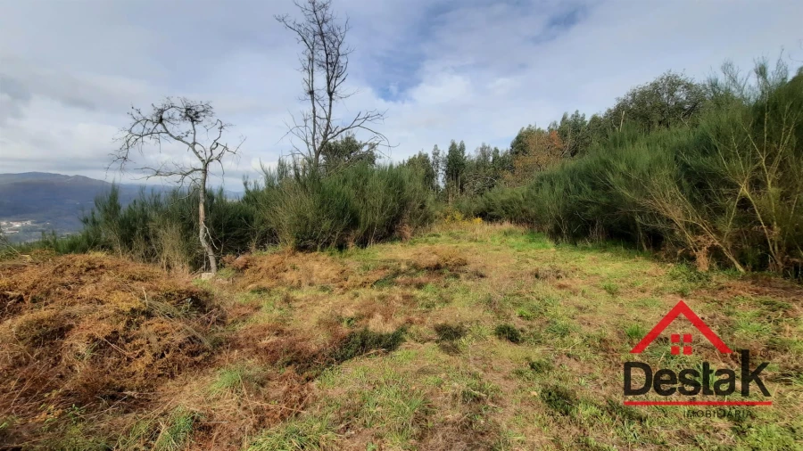 Terreno Agricola ou Rústico para Venda em Oliveira de Frades, Souto de Lafões e Sejães Foto 4