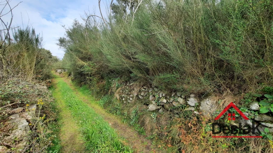 Terreno Agricola ou Rústico para Venda em Oliveira de Frades, Souto de Lafões e Sejães Foto 1