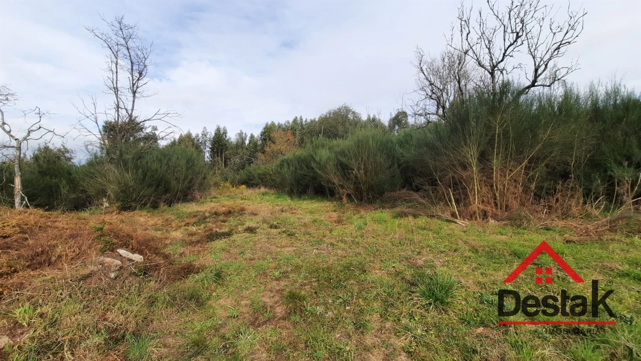 Terreno Agricola ou Rústico para Venda em Oliveira de Frades, Souto de Lafões e Sejães Foto 5