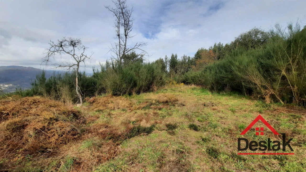 Terreno Agricola ou Rústico para Venda em Oliveira de Frades, Souto de Lafões e Sejães Foto 4