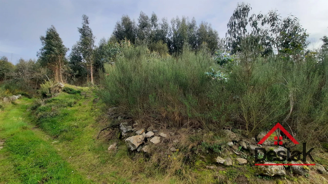 Terreno Agricola ou Rústico para Venda em Oliveira de Frades, Souto de Lafões e Sejães Foto 2