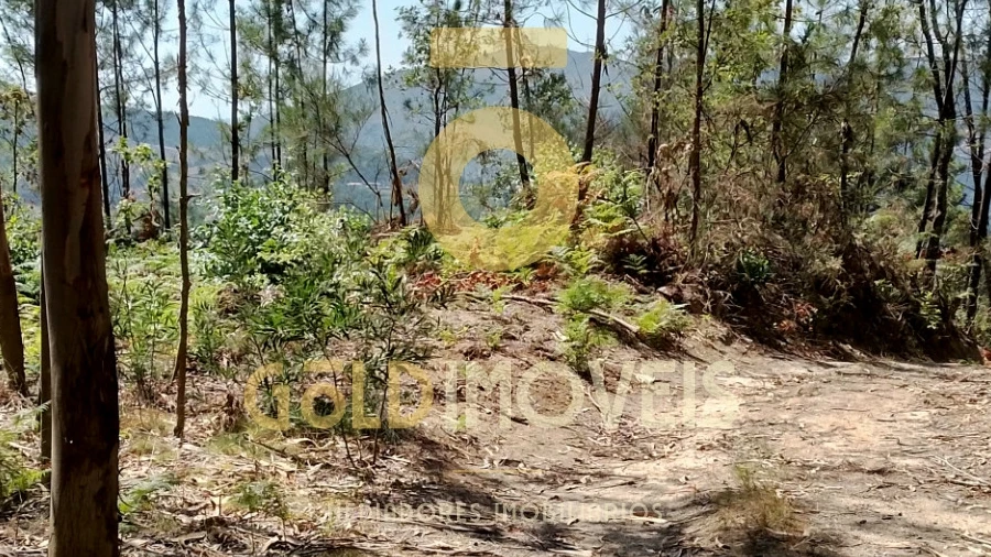Terreno Agricola ou Rústico para Venda em São Martinho de Sardoura