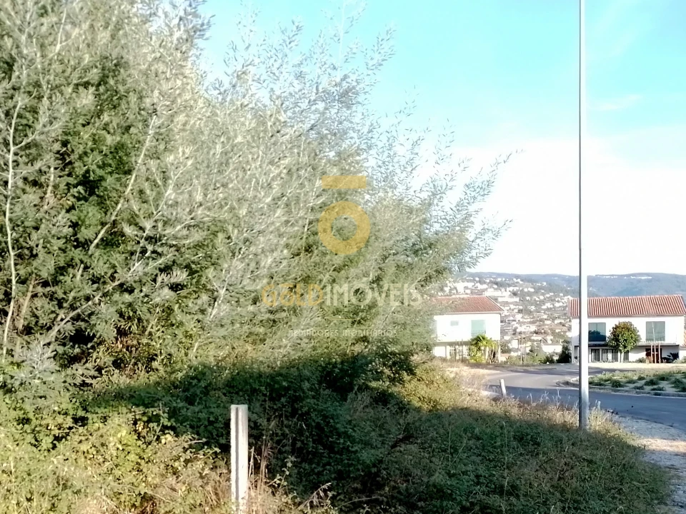 Terreno para Venda em Alpendorada, Várzea e Torrão Foto 5