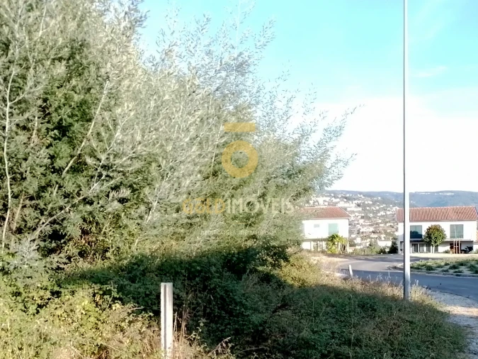 Terreno para Venda em Alpendorada, Várzea e Torrão Foto 5