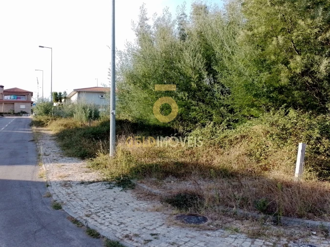 Terreno para Venda em Alpendorada, Várzea e Torrão Foto 3